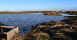 Head Farm HLS and North Cliff Marsh