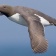 Filey Bycatch