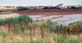 Thornwick and Sea Farm Wetland Creation