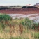 Thornwick Wetland 2011 looking east 