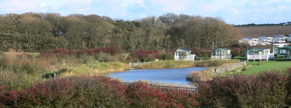Ecological Appraisals