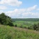 Wykeham Forest North Yorkshire by Richard Baines