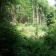 Phase 2 National Vegetation Classification